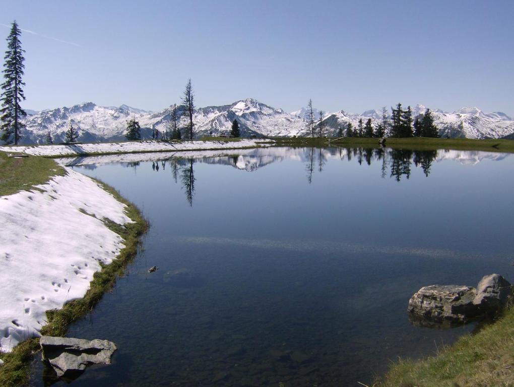 Gaestehaus Gratz - Inklusive Eintritt In Die Alpentherme Dorfgastein Luaran gambar